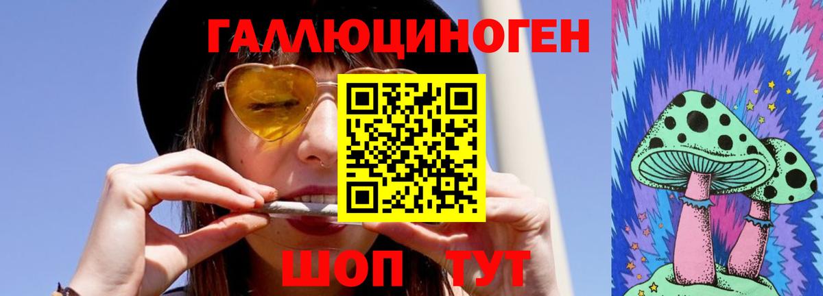 Пугачёв  Галлюциногенные грибы Psilocybe  наркотики  Вход с VPN 